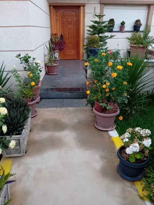 Vente Villa Blida Larbaa