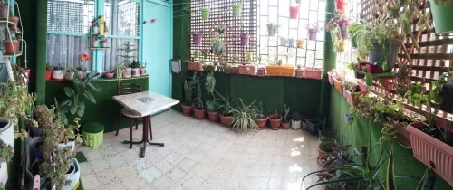 Vente Appartement F3 Sidi Bel Abbès Ben badis