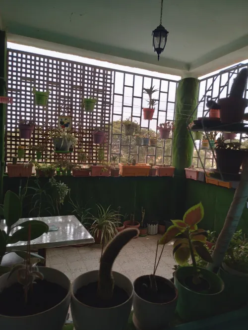 Vente Appartement F3 Sidi Bel Abbès Ben badis