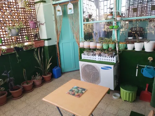 Vente Appartement F3 Sidi Bel Abbès Ben badis