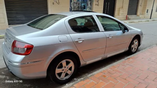 Peugeot 407 2009 407