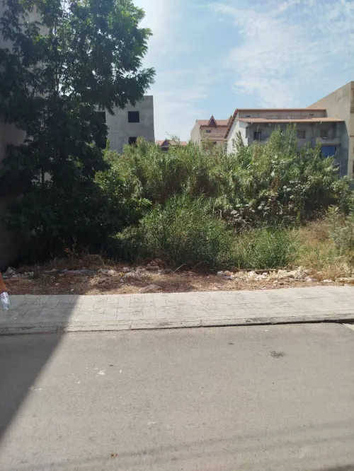 Vente Terrain Blida Boufarik