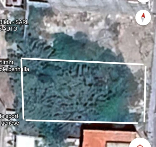 Vente Terrain Blida Boufarik