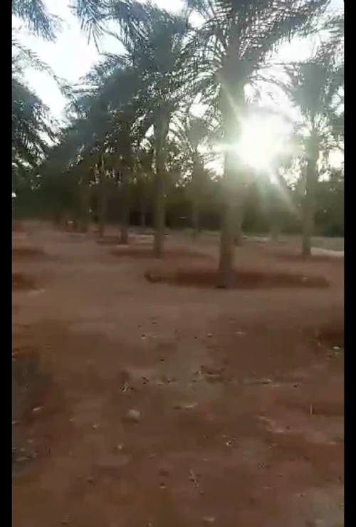 Vente Terrain Biskra Lioua
