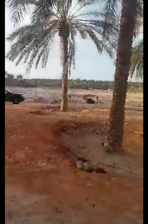 Vente Terrain Biskra Lioua