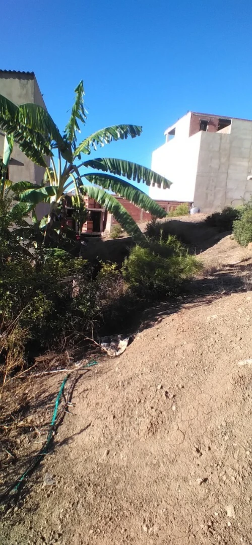 Vente Terrain Chlef Beni haoua