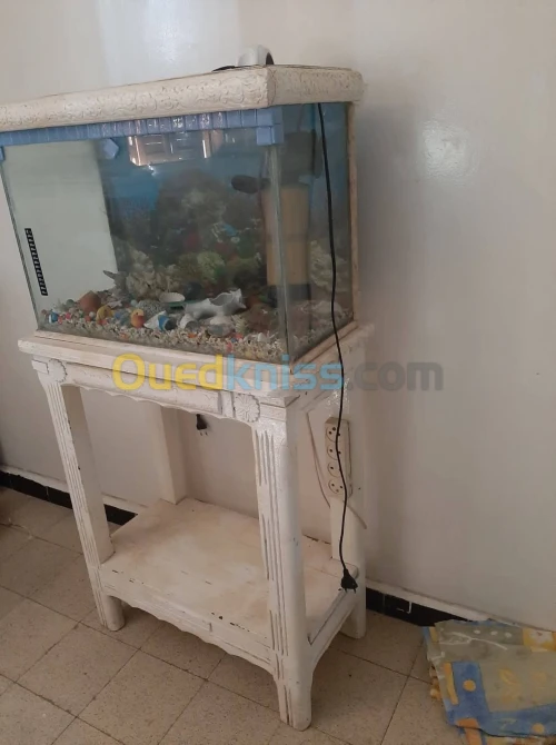 Aquarium