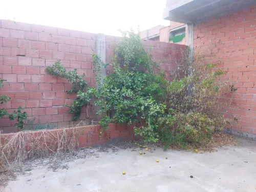 Vente Terrain Blida Soumaa