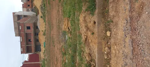 Vente Terrain Chlef Chlef
