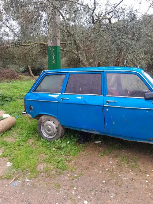 Peugeot 204 1974 