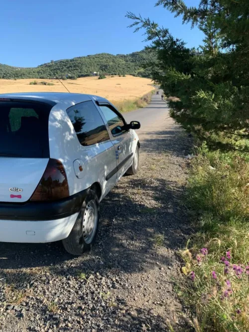 Renault Clio 2 2001 Clio 2