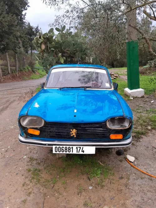 Peugeot 204 1974 
