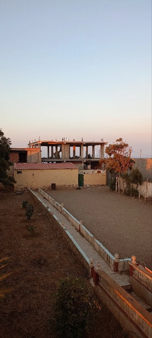 Vente Terrain Alger Rais hamidou