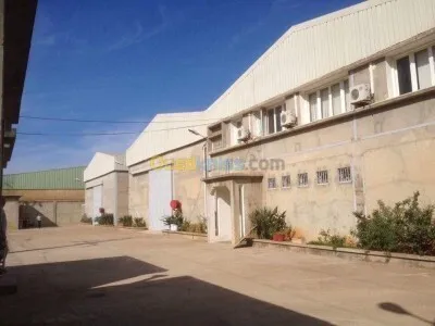 Location Hangar - Usine Alger Dar el beida