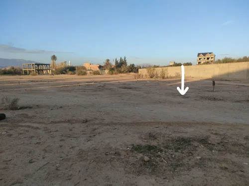 Vente Terrain Batna Ngaous