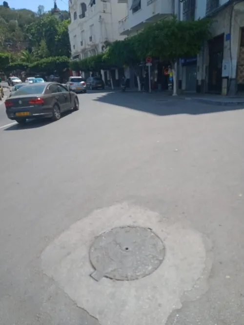 Location Local Alger Alger centre