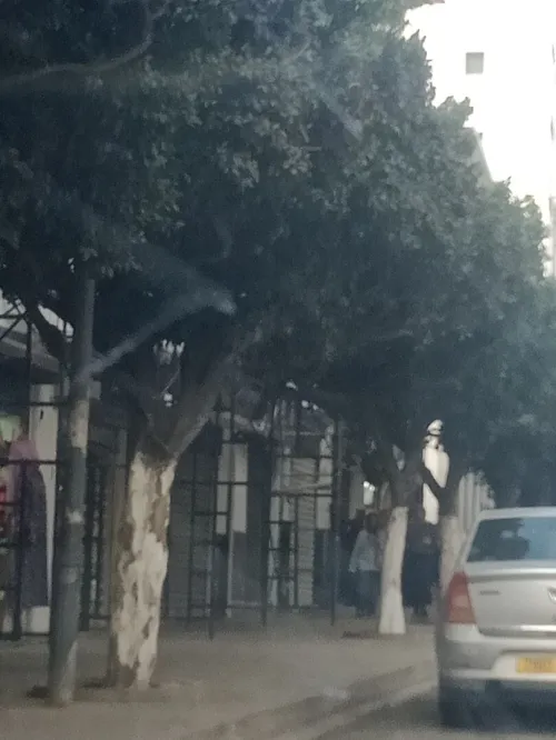 Vente Local Alger El biar