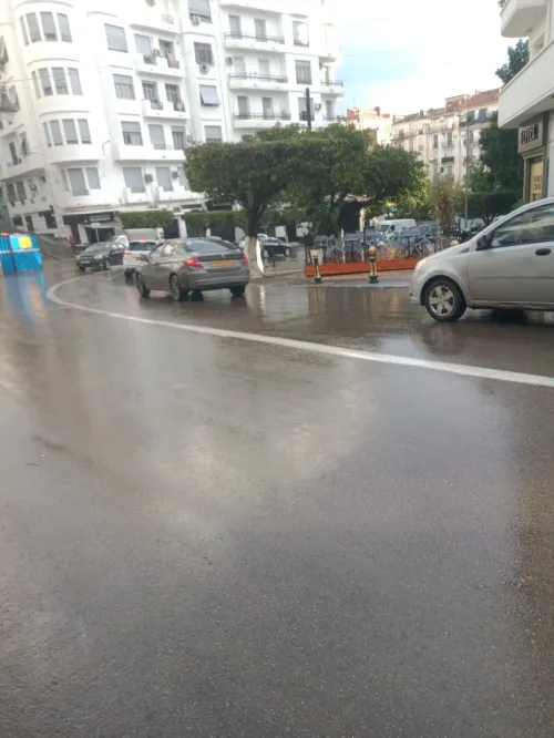 Location Local Alger Alger centre