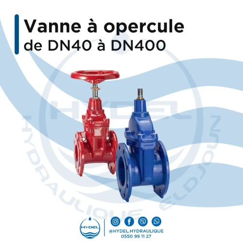 Vanne à opercule (Vanne à bride) DN40-DN600 - (PN10 à PN25)