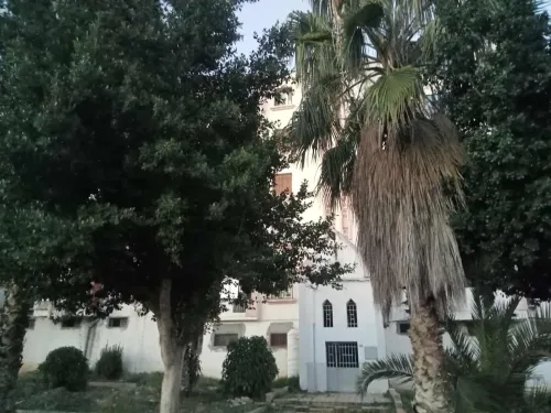 Vente Appartement F3 Guelma Guelma