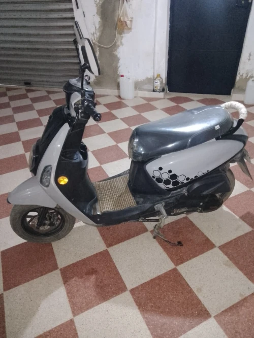 Coxi Estate 2023