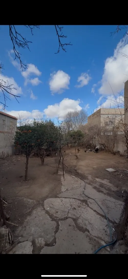 Vente Terrain Tlemcen Tlemcen