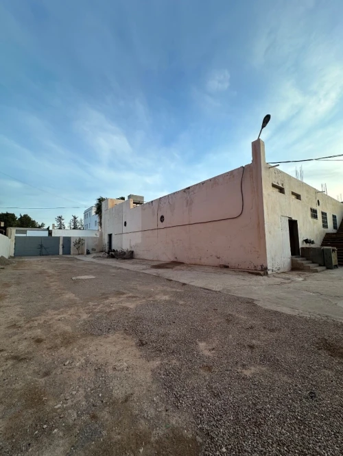 Location Hangar - Usine Tlemcen Hennaya