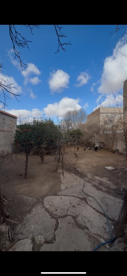 Vente Terrain Tlemcen Tlemcen