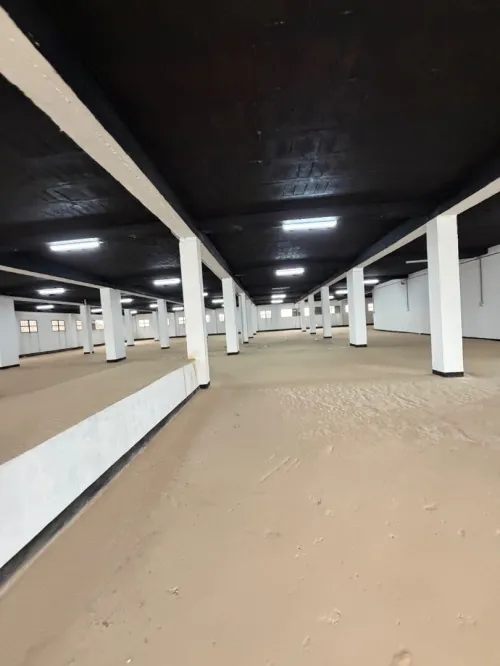 Location Hangar - Usine Tlemcen Tlemcen