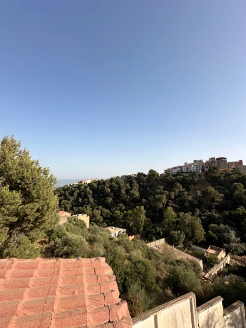 Vente Villa Alger Birkhadem