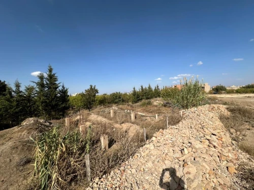 Vente Terrain Tlemcen Mansourah