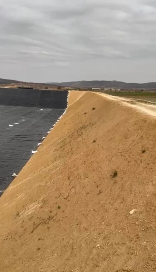 Vente Terrain Agricole Sidi Bel Abbès Mezaourou