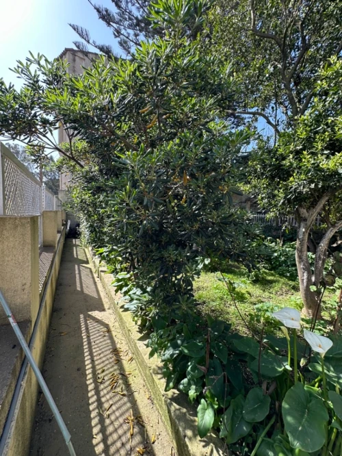 Vente Villa Alger Bouzareah