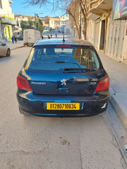 Peugeot 307 2006 Oxygo