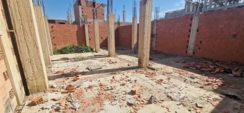 Vente Carcasse Alger Les eucalyptus