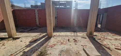 Vente Carcasse Alger Les eucalyptus