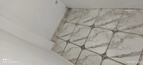 Location bien immobilier Alger Staoueli