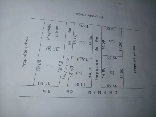 Vente Terrain Blida El affroun