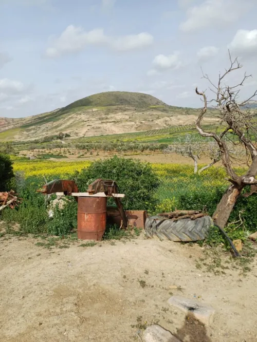 Vente Terrain Agricole Aïn Témouchent Oulhaca el gheraba