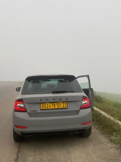 Skoda Fabia 2021 Monte Carlo
