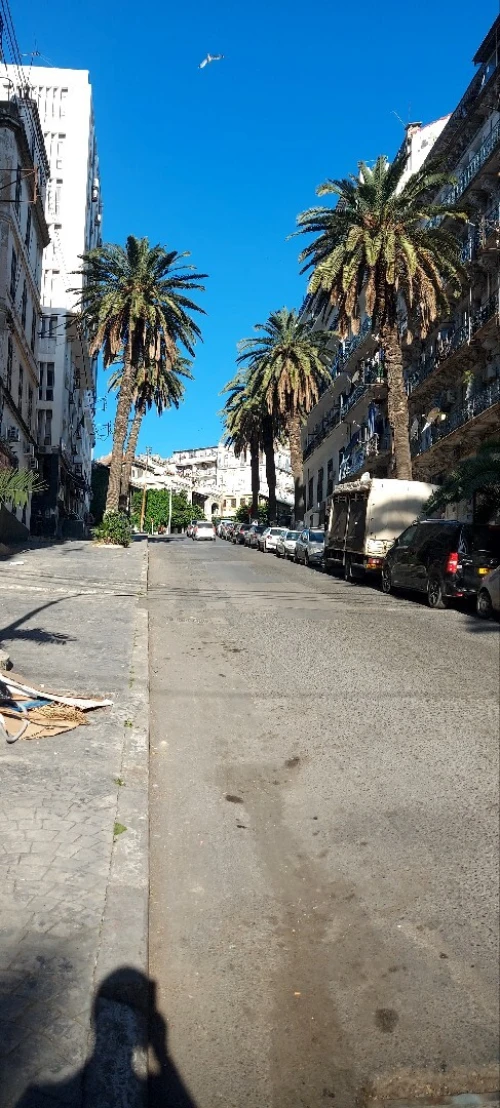 Vente Local Alger Alger centre