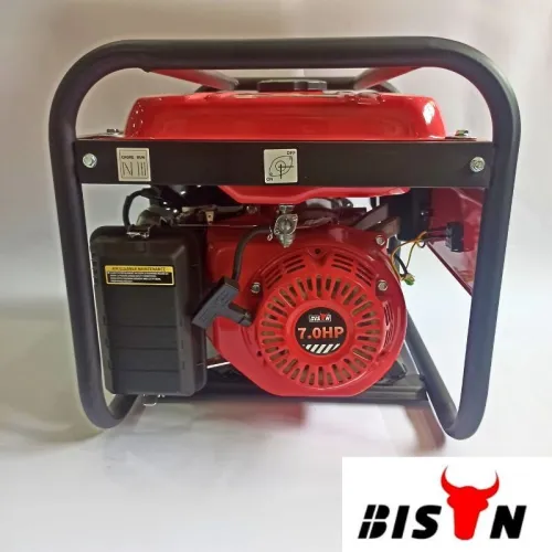 Générateur d'Électricité BS3500 BISON