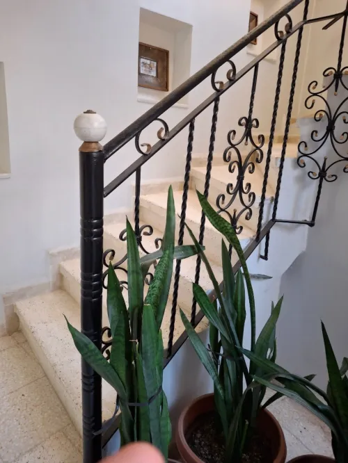 Location Appartement Alger El biar