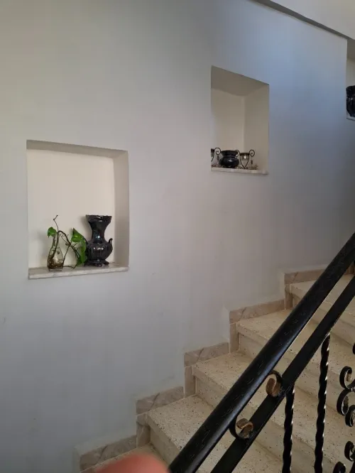 Location Appartement Alger El biar