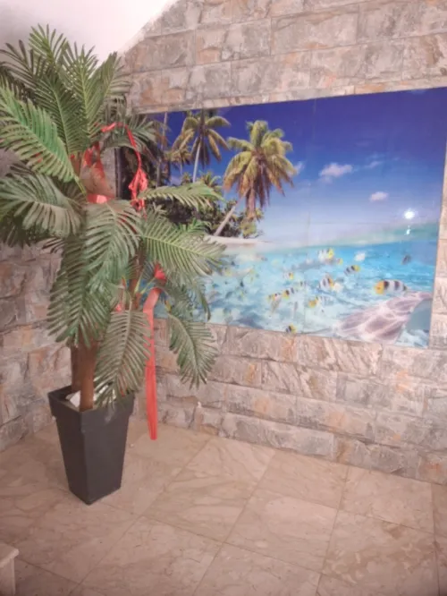 Location vacances Appartement F3 Alger Bordj el kiffan