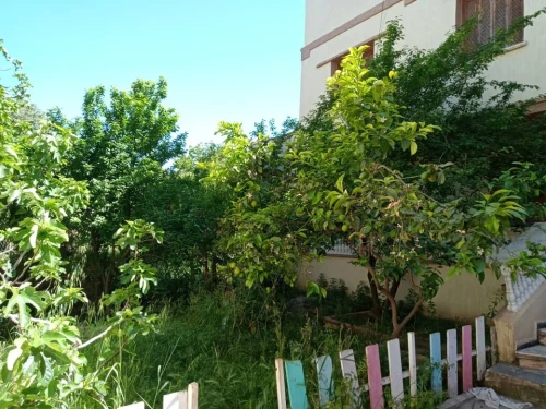 Vente Villa Alger Bordj el kiffan