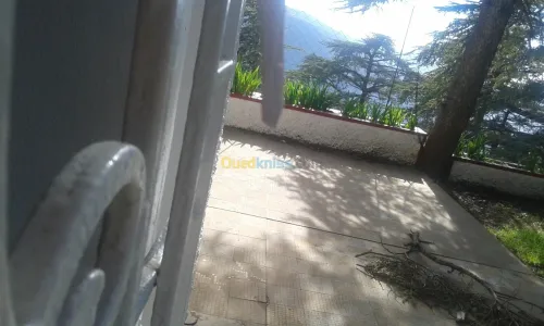 Location Villa Blida Chrea