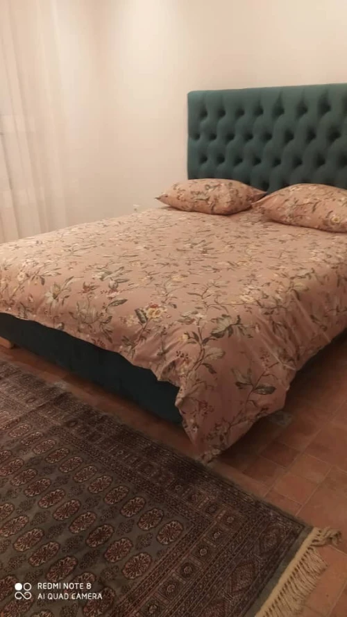 Location Villa Alger Said hamdine