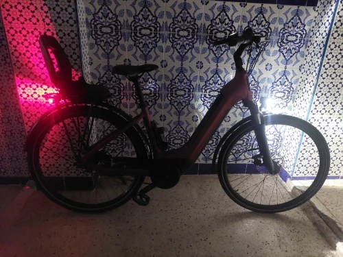 Velo electrique winora n8 trial