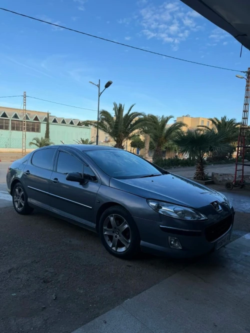 Peugeot 407 2005 407
